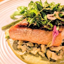 Seared salmon on mole, delicious Seared salmon on mole, delicious