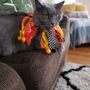 Photo of Cats on Catnip Boston