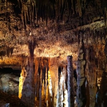 Blanchard Springs Caverns - A view of the ceiling (no this pic is not upside down;)) - Parks Near Me - Fifty-Six, Arkansas