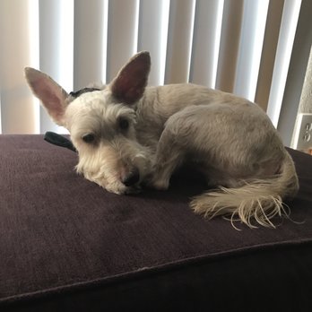 Petco - Fresh cut! - Pet Stores Near Me - Dallas, Texas