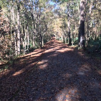 Black Creek Park and Trail - Black Creek paved trail. - Hiking Near Me - Fleming Island, Florida