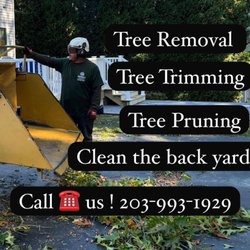 Ramirez Tree Services - Tree Trimming, Tree Removal, Tree pruning, Clean the back yard.  Call us