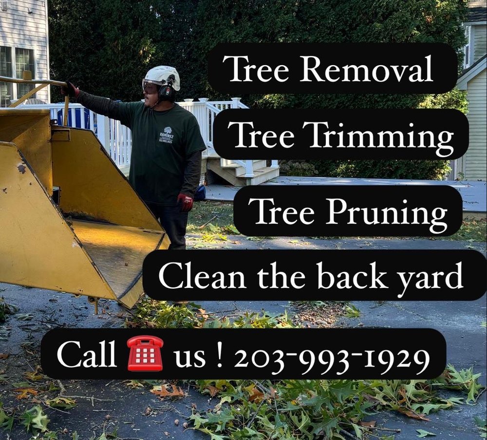 Ramirez Tree Services - tree service in Bridgeport, CT