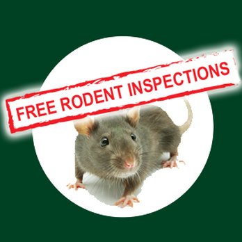 Kilter Termite & Pest Control - If you see even one rodent - call for a free rodent inspection. Rats and mice rarely travel alone. - Pest Control Near Me - Orange, California Kilter Termite & Pest Control - If you see even one rodent - call for a free rodent inspection. Rats and mice rarely travel alone. - Pest Control Near Me - Orange, California