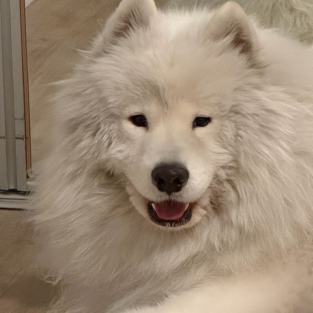 He's happy he can finally shower with water softener and not Las Vegas hard water He's happy he can finally shower with water softener and not Las Vegas hard water