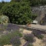 Photo of Vandeleur Walled Garden & Centre