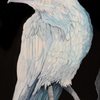 Sevigny Studio Alaskan Art gift card