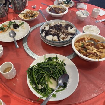 Sichuan Jin River - Various dishes - Chinese Near Me - Rockville, Maryland