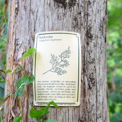 Trott-Perry Land Preserve