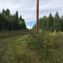 Photo of Bunchberry Meadows Conservation Area