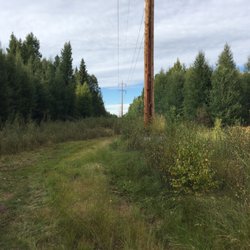 Bunchberry Meadows Conservation Area - Fairly representative trail conditions