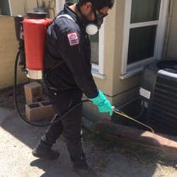 La Cañada Pest Control - Pasadena, CA Ant control service