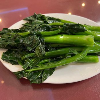 Mekong Palace - V4. Chinese Broccoli W/ Oyster Sauce (Actually, minus the sauce) - Dim Sum Near Me - Mesa, Arizona Mekong Palace - V4. Chinese Broccoli W/ Oyster Sauce (Actually, minus the sauce) - Dim Sum Near Me - Mesa, Arizona