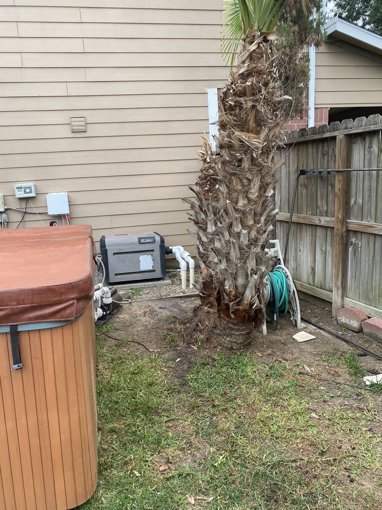 Slide of Lieder Landscapes