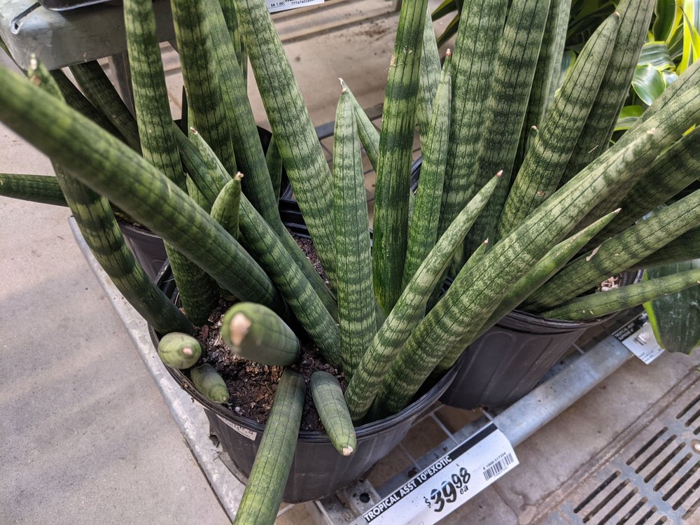 HOME DEPOT Updated May 2024 12 Photos & 11 Reviews 1105 Kingston Road, Pickering, Ontario