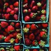 Little Rock Farmers' Market gift card