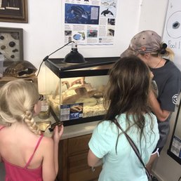 Looking at one of the rescues reptiles Looking at one of the rescues reptiles