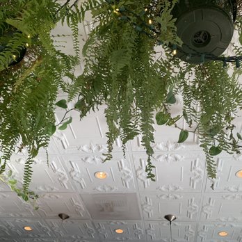 Jungle - Ceiling - Tiki Bars Near Me - Boulder, Colorado