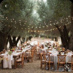 Arizona Polo 101 Polo Club - Wedding and event venue coming soon. Book yours today!