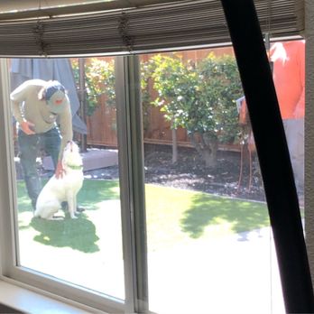 Bright Ideas Design Center - Happy dawg - Patio Coverings Near Me