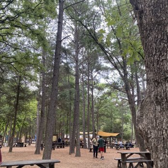 Sherwood Forest Faire - Festivals Near Me - McDade, Texas Sherwood Forest Faire - Festivals Near Me - McDade, Texas