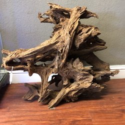 local fish stores around me