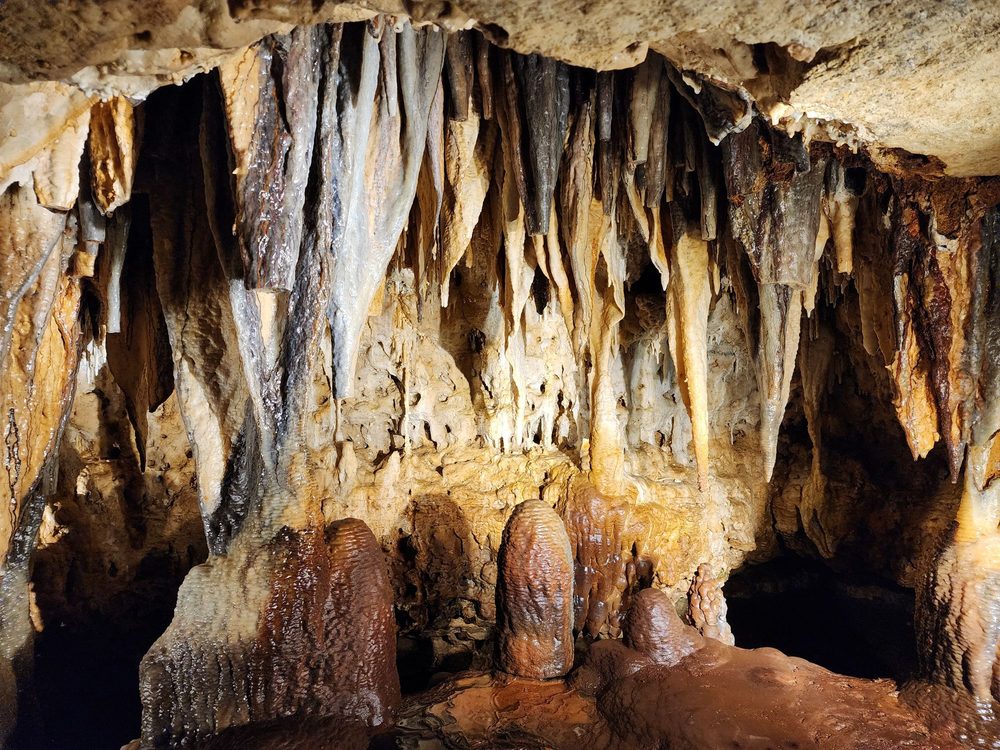 Cave of the Mounds Logo