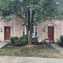 D & S Tree Service - After