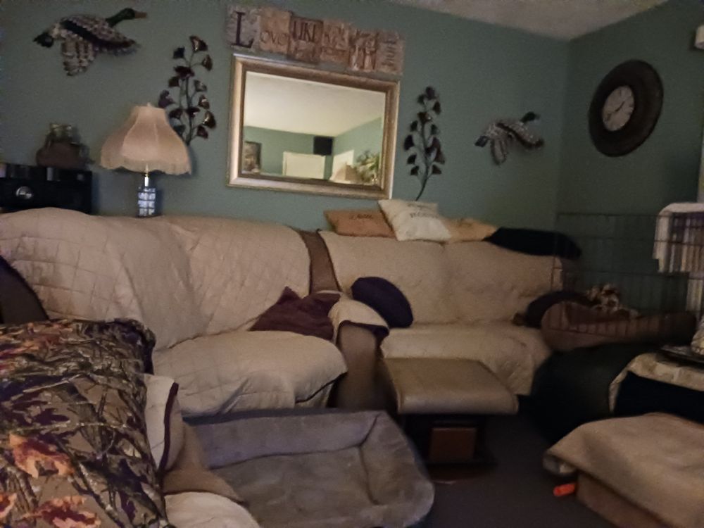 BOYCE C R DVM Updated October 2024 Chatham, Illinois Veterinarians Phone Number Yelp