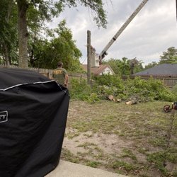 Affordable Tree Service