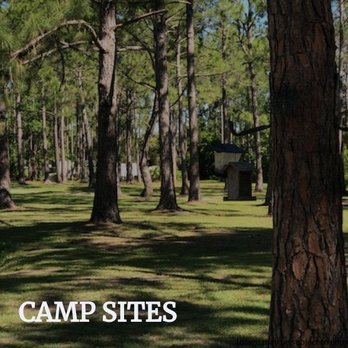 Royal Palms RV Resort - RV Parks Near Me - Bunnell, Florida Royal Palms RV Resort - RV Parks Near Me - Bunnell, Florida