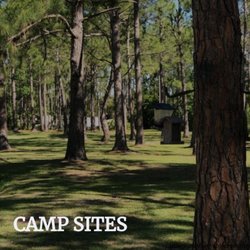Royal Palms RV Resort