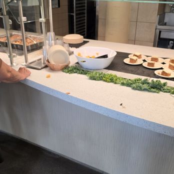 Discovery Cove - Dirty floors, flies on the food, counters still had eggs on the counters - Amusement Parks Near Me - Orlando, Florida Discovery Cove - Dirty floors, flies on the food, counters still had eggs on the counters - Amusement Parks Near Me - Orlando, Florida