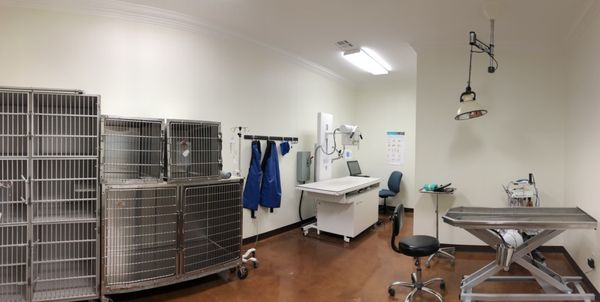 Wags & Whiskers Veterinary Hospital