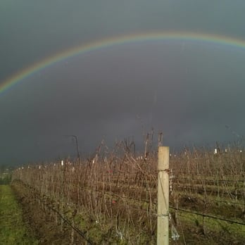 Kason Vineyards - Wineries Near Me - Yamhill, Oregon Kason Vineyards - Wineries Near Me - Yamhill, Oregon