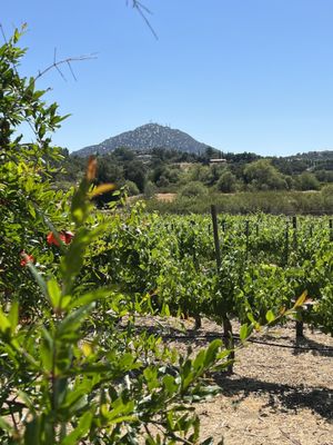 Principe di Tricase Winery by null