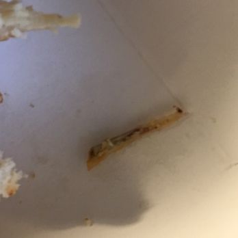 Lee's Famous Recipe Chicken - Took the breaking off. Obviously a bone - Chicken Wings Near Me - Kalamazoo, Michigan Lee's Famous Recipe Chicken - Took the breaking off. Obviously a bone - Chicken Wings Near Me - Kalamazoo, Michigan