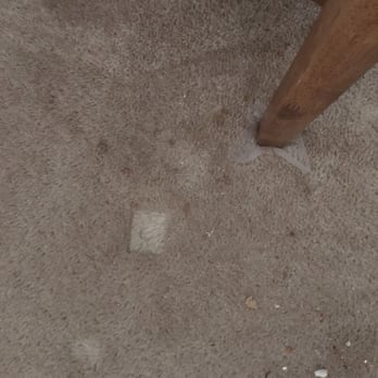 Stephson Carpet Cleaning - This is a immediately after cleaning photo Asked if the cleaned by the chair and moved it and said yes. Certainly did not - Carpet Cleaning Near Me