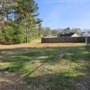 Knock Out Stump Grinding
