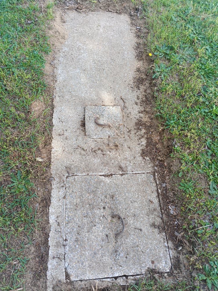 A1- Septic Tank Cleaning - septic in Raleigh , NC