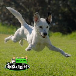 The Junkluggers of Kansas City