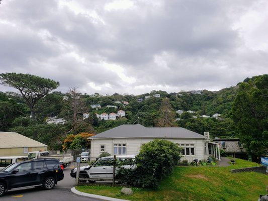 Wellington Botanic Garden by null