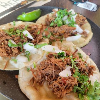 El Mero Mero Taqueria - Birria decent amount of meat although bland and it advertised to have cheese on it but none was there. - Mexican Near Me - Edmonton, Alberta El Mero Mero Taqueria - Birria decent amount of meat although bland and it advertised to have cheese on it but none was there. - Mexican Near Me - Edmonton, Alberta