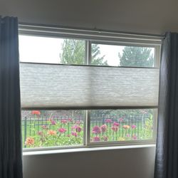 Boise Shade - Top down/bottom up honeycomb blinds