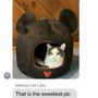 Photo of My Furry Family Pet Sitters