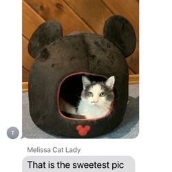 My Furry Family Pet Sitters - Just one of the text we get while away