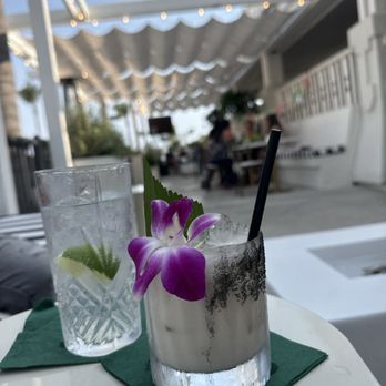 Ten Tigers - Vodka tonic & White Tiger Margarita - Cocktail Bars Near Me - Ventura, California Ten Tigers - Vodka tonic & White Tiger Margarita - Cocktail Bars Near Me - Ventura, California