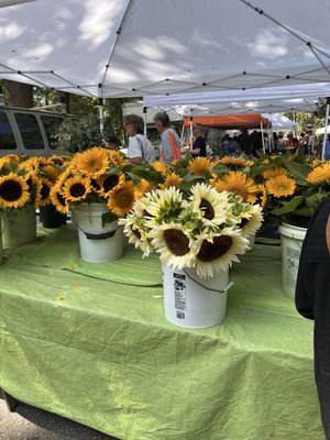 Portland Farmers' Market by null