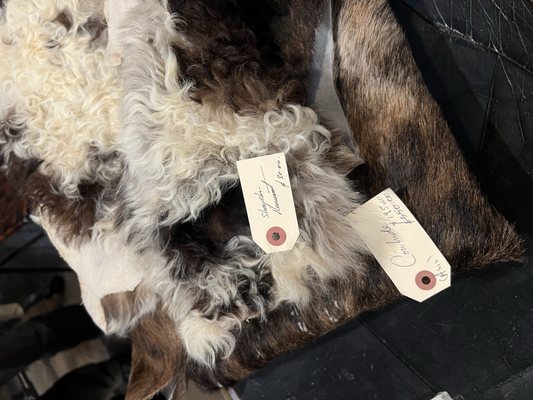 Stella Dallas Living by null