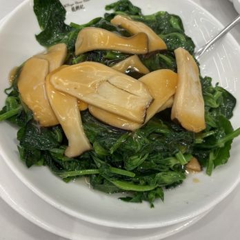Mr. Congee Chinese Cuisine - Snow Pea Leaf w/ King Mushroom - Chinese Near Me - Markham, Ontario Mr. Congee Chinese Cuisine - Snow Pea Leaf w/ King Mushroom - Chinese Near Me - Markham, Ontario